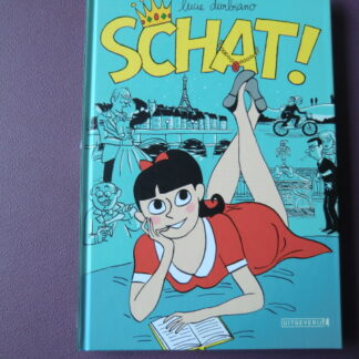Stripboeken voor tieners en volwassenen