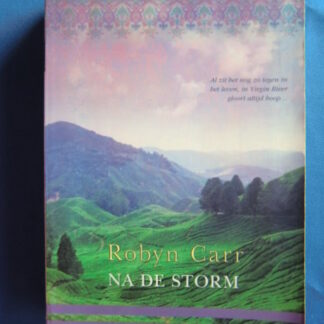 HQN Roman 9: Na de storm / Robyn Carr