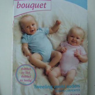 Bouquet Extra 252: Tweeling zoekt ouders / Teresa Carpenter; Zorgen voor twee / Raye Morgan